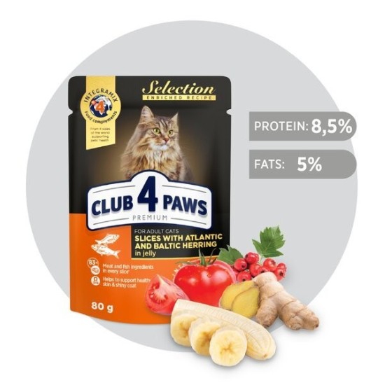 CLUB 4 PAWS Premium visavertis konservuotas ėdalas suaugusioms katėms gabalėliai su silke ir strimelėmis drebučiuose, 80 g