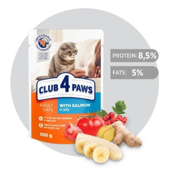 CLUB 4 PAWS Premium visavertis konservuotas ėdalas suaugusioms katėms su lašiša drebučiuose, 100 g