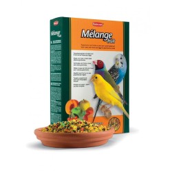 PADOVAN Melange Fruit papildomas minkštas lesalas egzotiniams paukščiams, 300 g