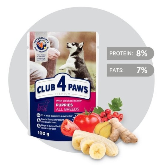 CLUB 4 PAWS Premium visavertis konservuotas ėdalas šuniukams su vištiena drebučiuose, 100 g